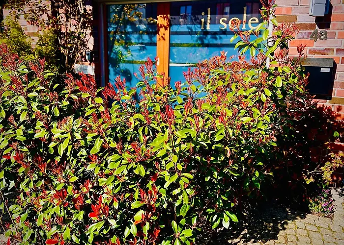 Schoene Aussichten Mitten In - Il Sole