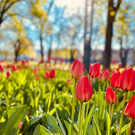 شقة Schoene Aussichten Mitten In - Il Sole *