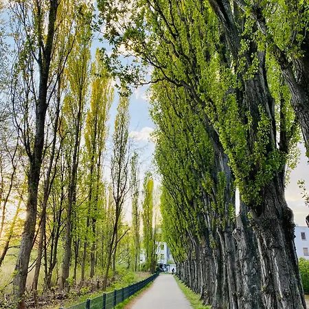 Schoene Aussichten Mitten In - Il Sole *