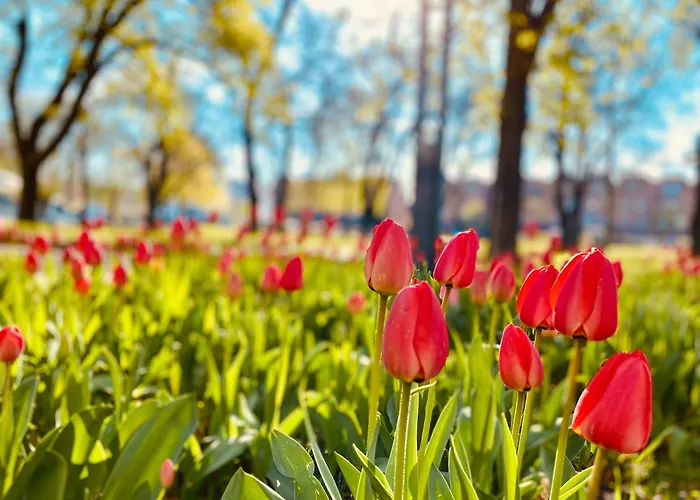 Апартаменты Schoene Aussichten Mitten In - Il Sole *