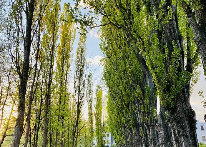 Schoene Aussichten Mitten In - Il Sole *