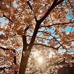 Schoene Aussichten Mitten In - Il Sole Daire