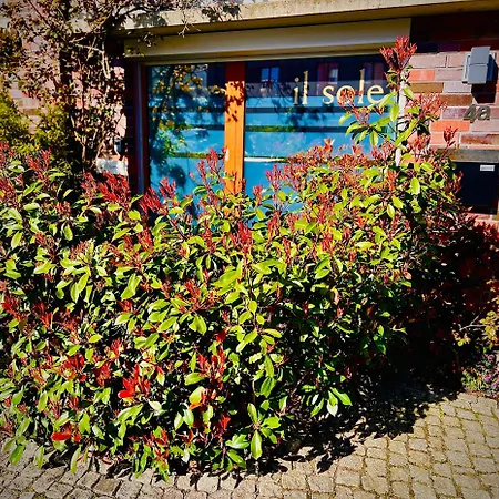 Schoene Aussichten Mitten In - Il Sole