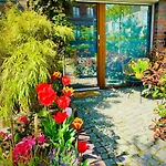 Schoene Aussichten Mitten In - Il Sole *