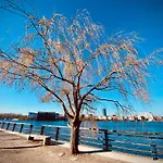 Schoene Aussichten Mitten In - Il Sole