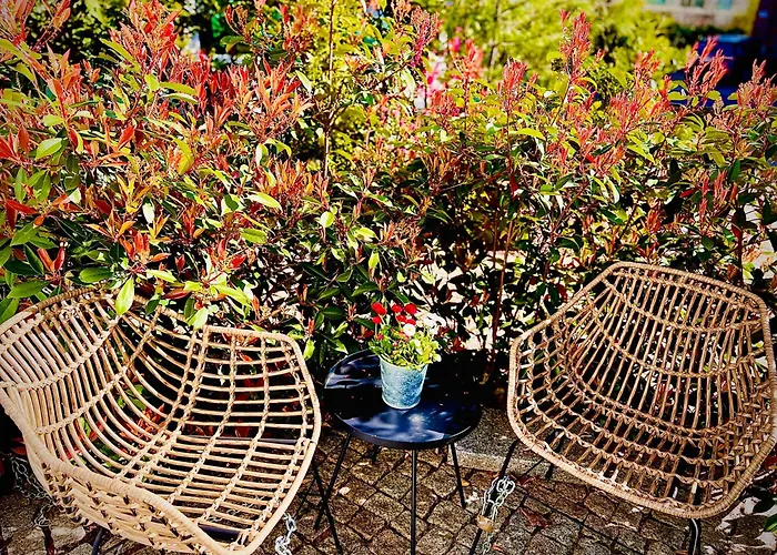 Schoene Aussichten Mitten In - Il Sole Berlin